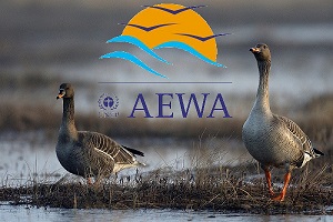 AEWA Goosemanagement logo