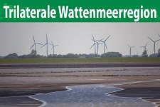 EU Green Deal - trilaterale WSR