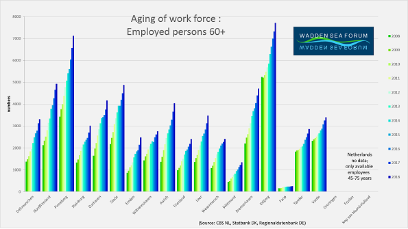 WSF-indic-age-workforce60+-in-2018.png