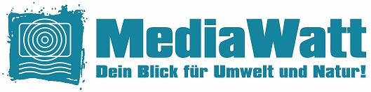 WSF - MediaWatt project logo